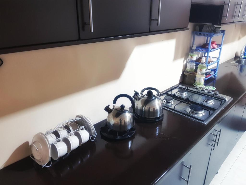 Kuchyň nebo kuchyňský kout v ubytování Nimal's Home