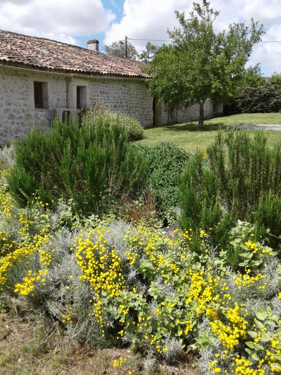 un jardin avec des fleurs jaunes devant un bâtiment dans l'établissement L'Hégoa, à Montpellier-de-Médillan