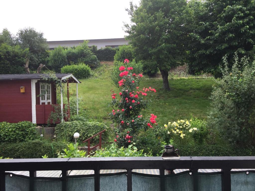 einen Garten mit einem Baum mit roten Blumen und einem Zaun in der Unterkunft Ferienwohnung Becker in Ellenz-Poltersdorf
