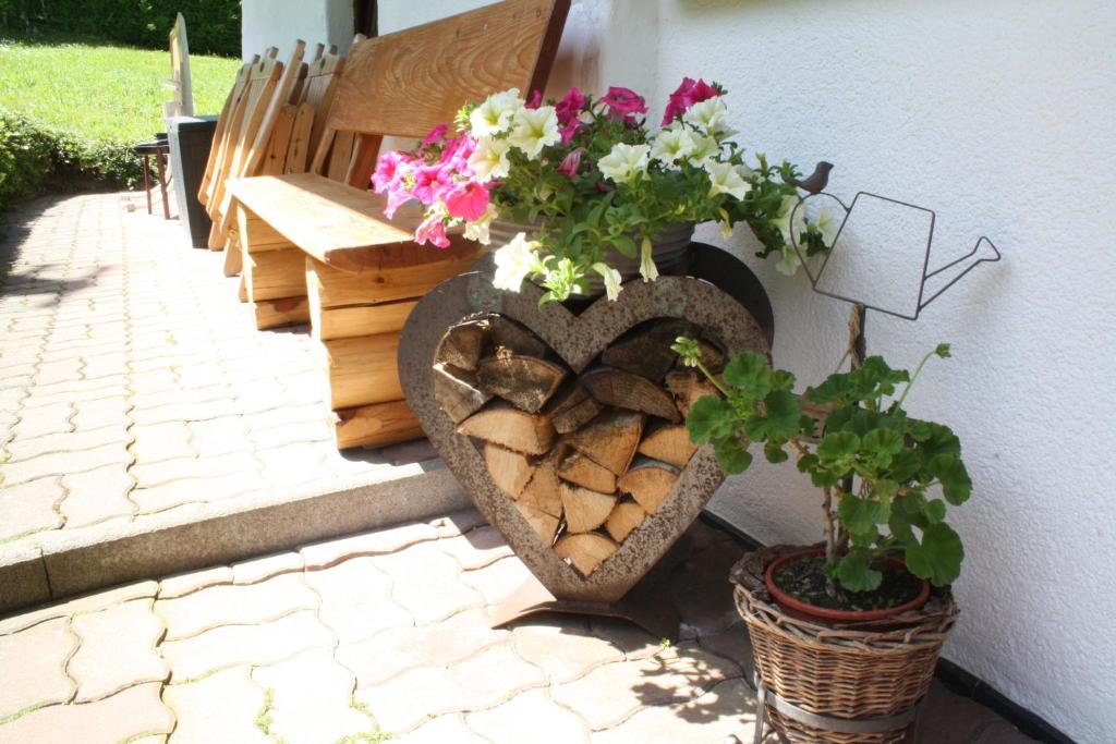 Zahrada ubytování Ferienhaus Julia