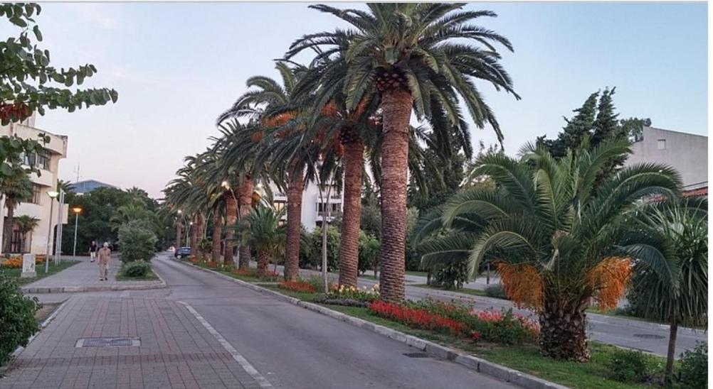 Fotografija u galeriji objekta Apartman Radinovic Bar u Baru