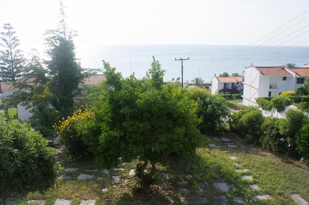Příroda nedaleko apartmánu