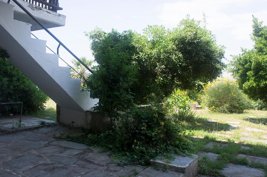 Zahrada ubytování Possidi Aigaiopelagitika ground floor beachside studio