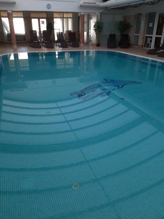 Basen w obiekcie MELODY APARTMAN lub w pobliżu