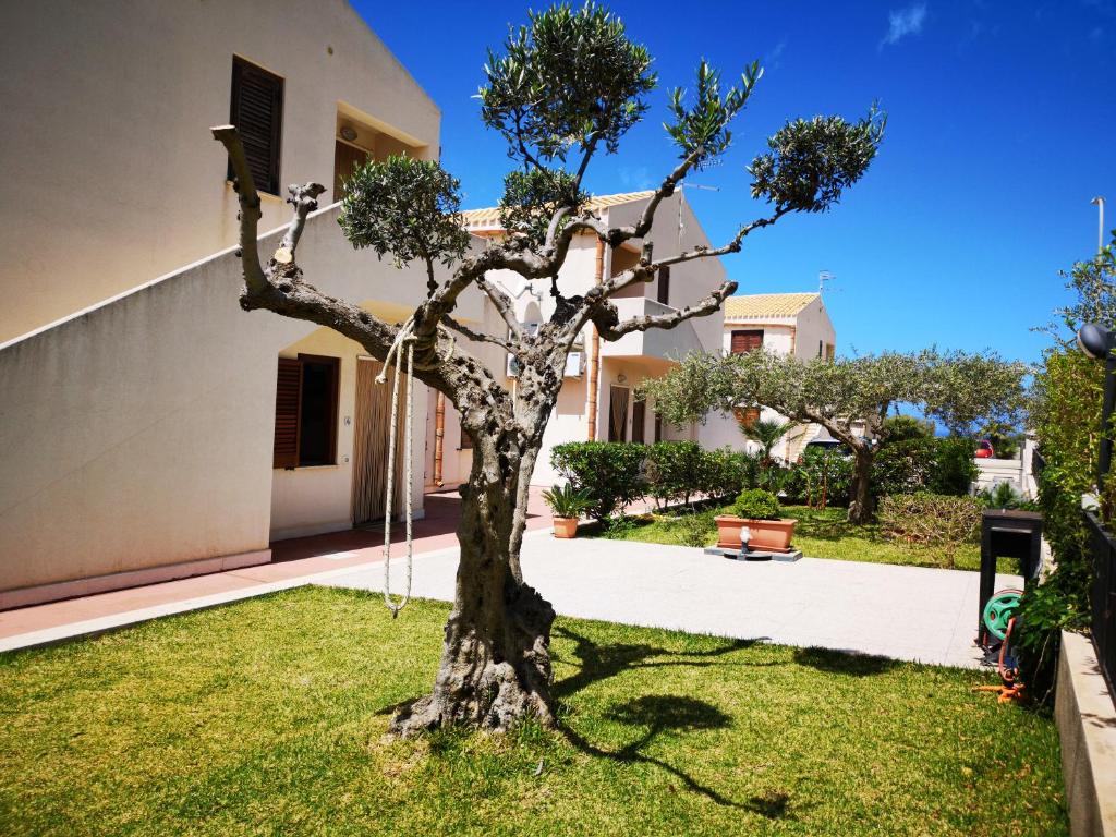 a tree in the yard of a house at Hawaii Siciliane in Castelluzzo