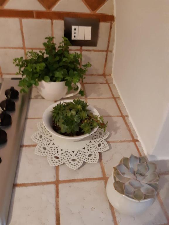 Fotografie z fotogalerie ubytování Donna Lucrezia dimora a corte B&B v destinaci Conversano