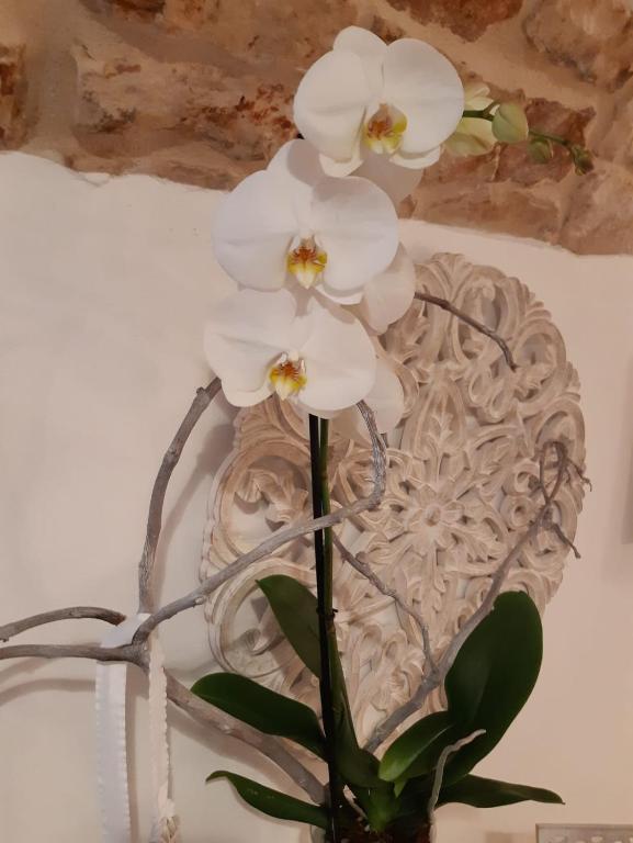 Fotografie z fotogalerie ubytování Donna Lucrezia dimora a corte B&B v destinaci Conversano