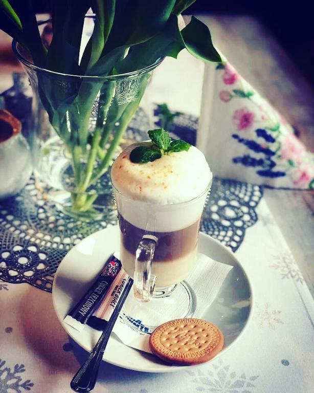 Gosciniec Pod Brzozami - Resim 25