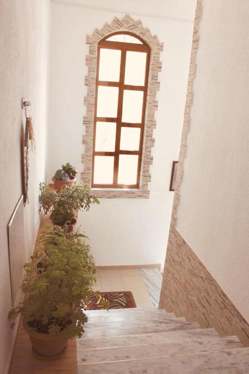 Fotografie z fotogalerie ubytování Guest House Stena v destinaci Ersekë