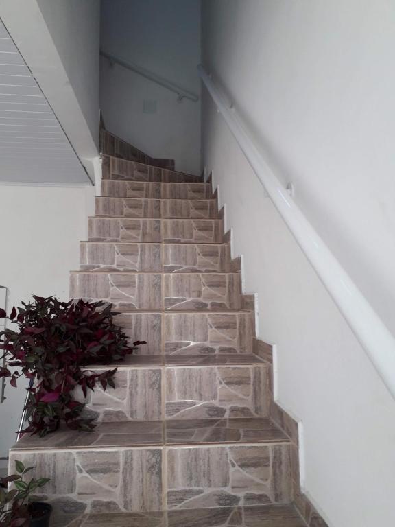 a stone staircase with a potted plant on it at Casa dos Avós in Ubatuba