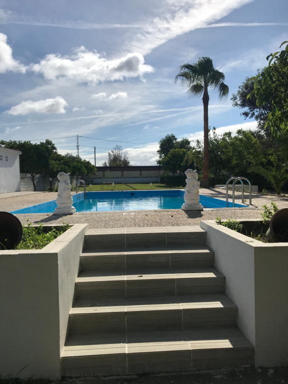 a staircase leading to a swimming pool with a palm tree at Villa pilonga in Dos Hermanas