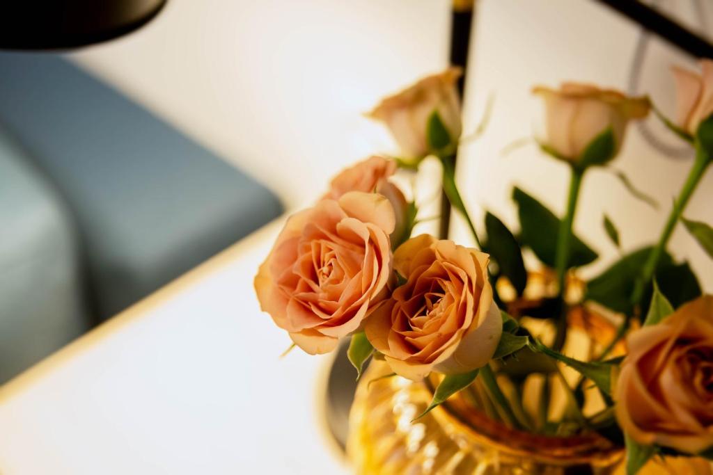 Hotel Czarna Róza - Resim 17