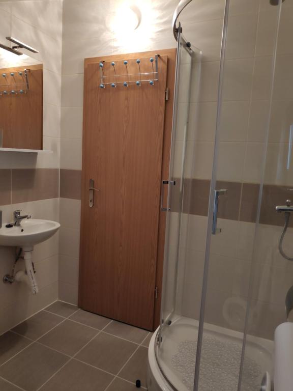 Kúpeľňa v ubytovaní Apartman Anicic