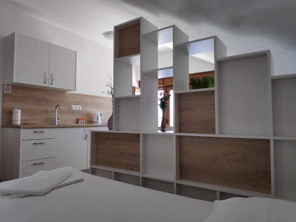 Kuchyňa alebo kuchynka v ubytovaní Apartman Anicic