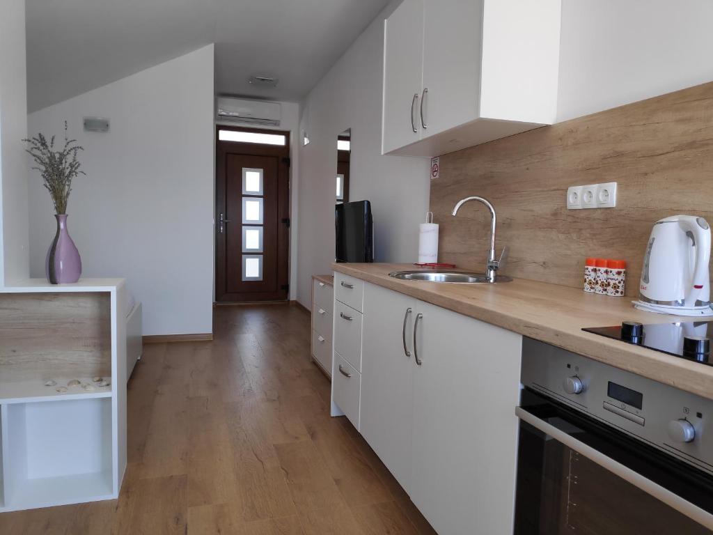 Kuchyňa alebo kuchynka v ubytovaní Apartman Anicic