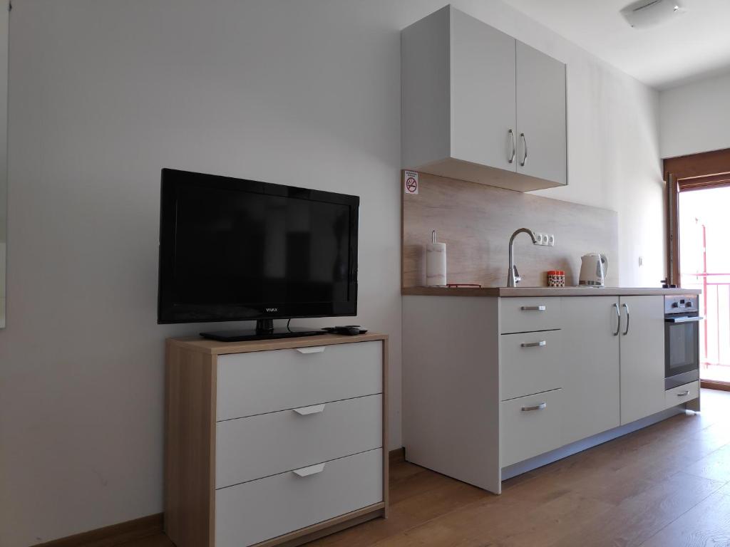Kuchyňa alebo kuchynka v ubytovaní Apartman Anicic