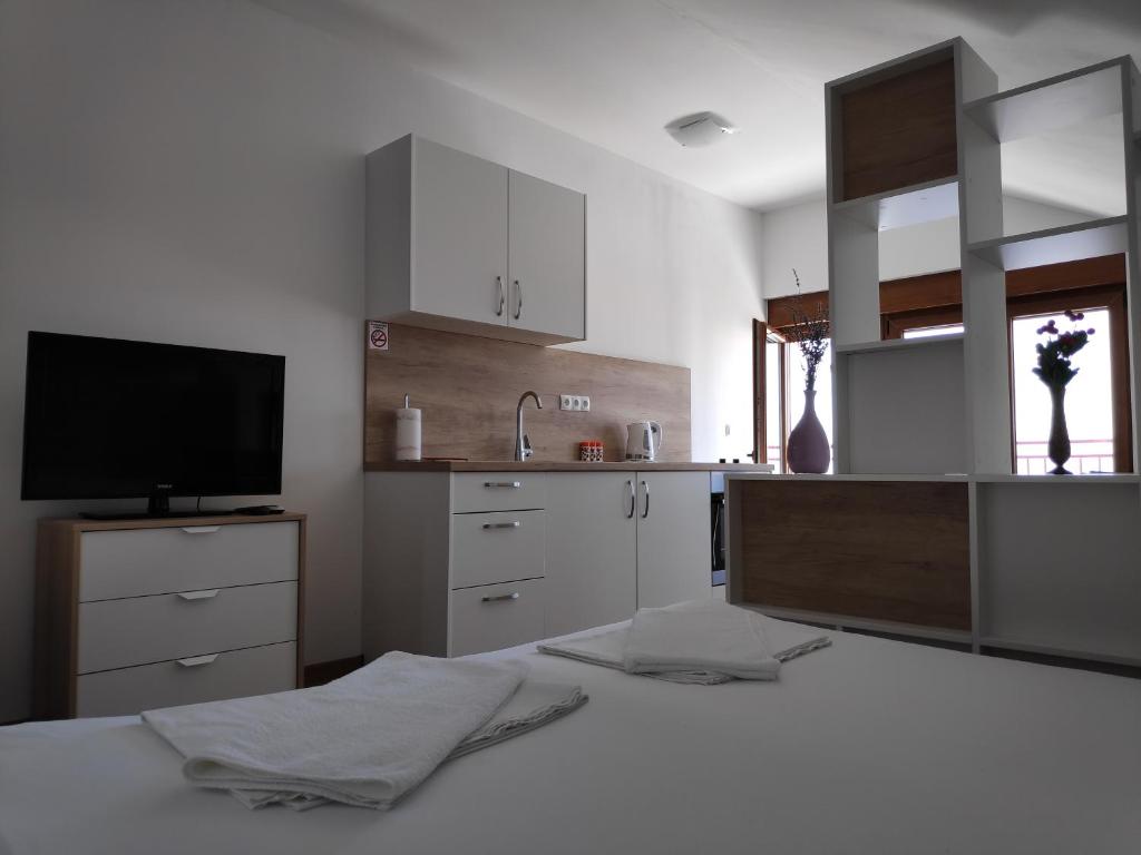 Kuchyňa alebo kuchynka v ubytovaní Apartman Anicic