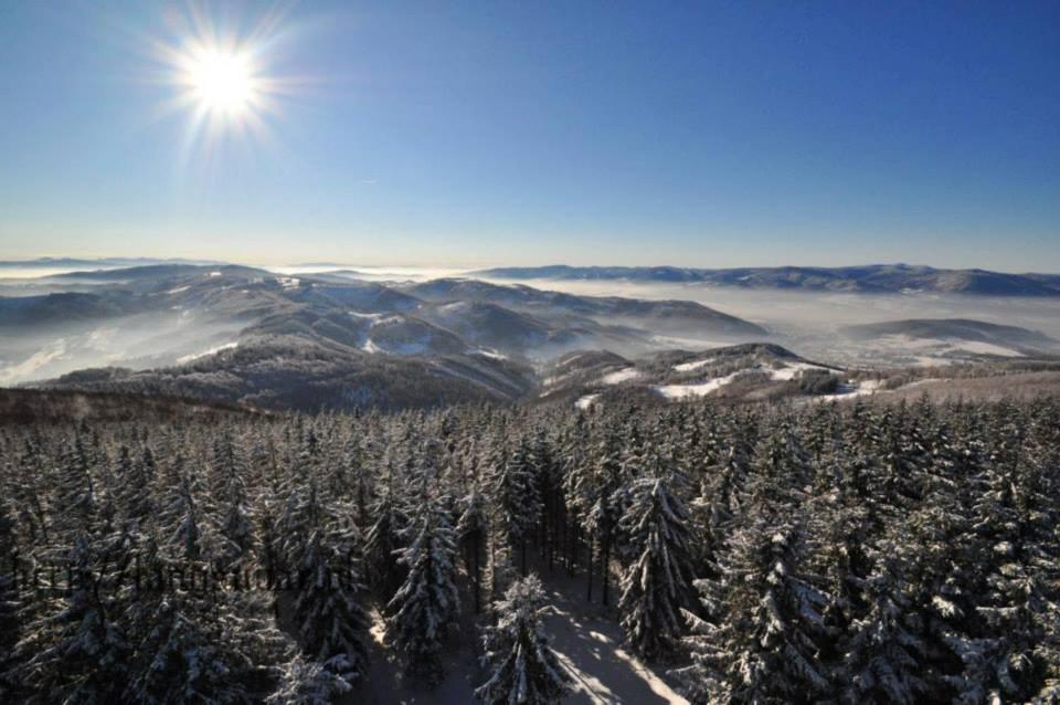 Fotografia z galérie ubytovania POKOJE GOŚCINNE U JANUSZA v destinácii Cisownica