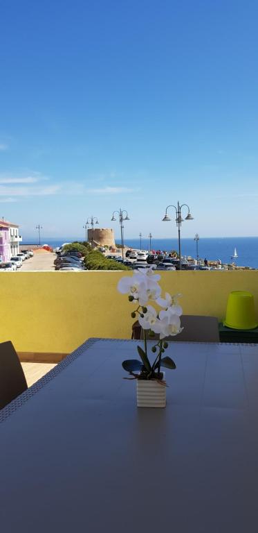 a vase with white flowers on a table with the beach at NordEst SeaView in Santa Teresa Gallura