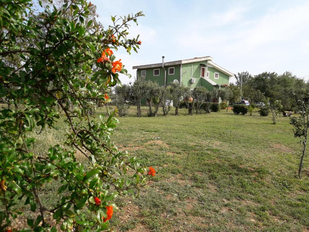 una casa in mezzo a un campo con alberi di arancio di B & B Country House a Capoterra