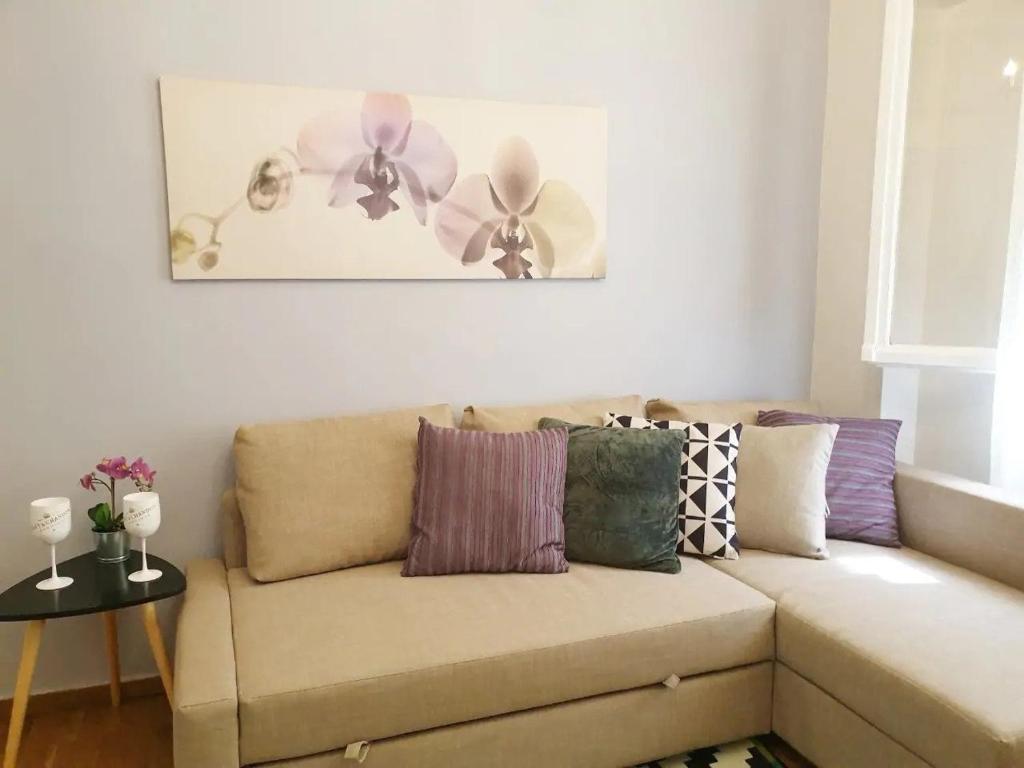 a living room with a brown couch with purple pillows at Mets 3 mins away from Panathenaic (Kallimarmaro) Stadium in Athens
