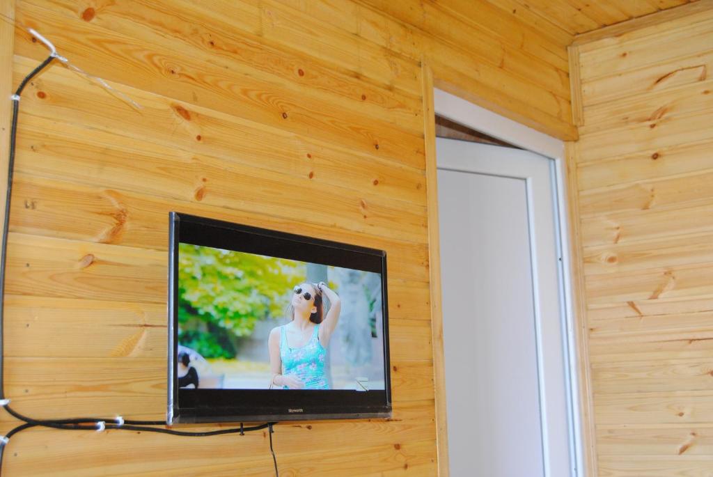 TV a/nebo společenská místnost v ubytování Tsanava's cottage in Sighnaghi