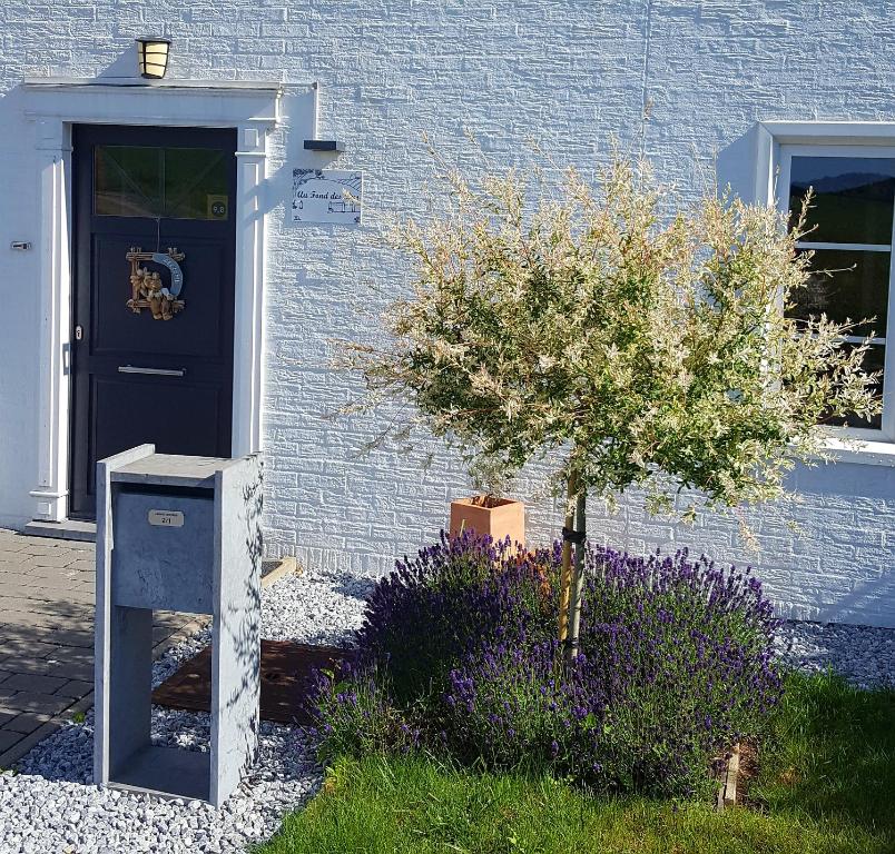 a blue house with a blue door and a tree at Au Fond des Rys in Grez-Doiceau