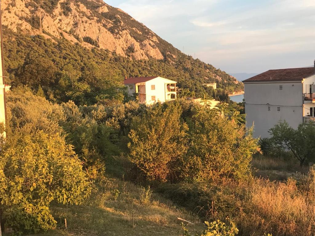 Príroda v okolí apartmánu
