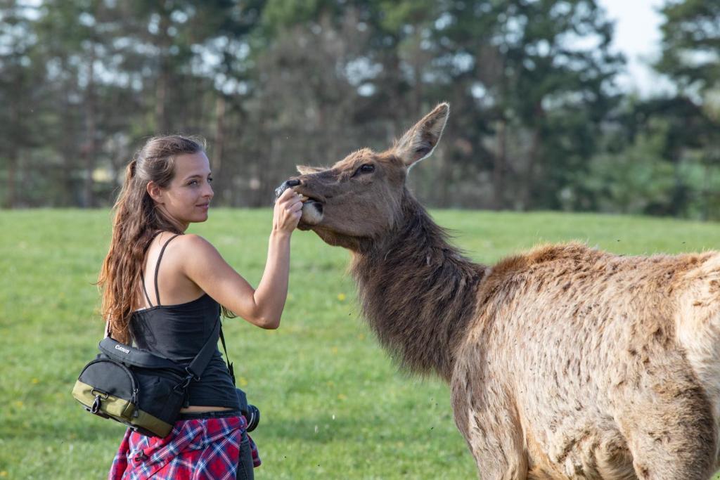 Zvířata v hotelu nebo okolí