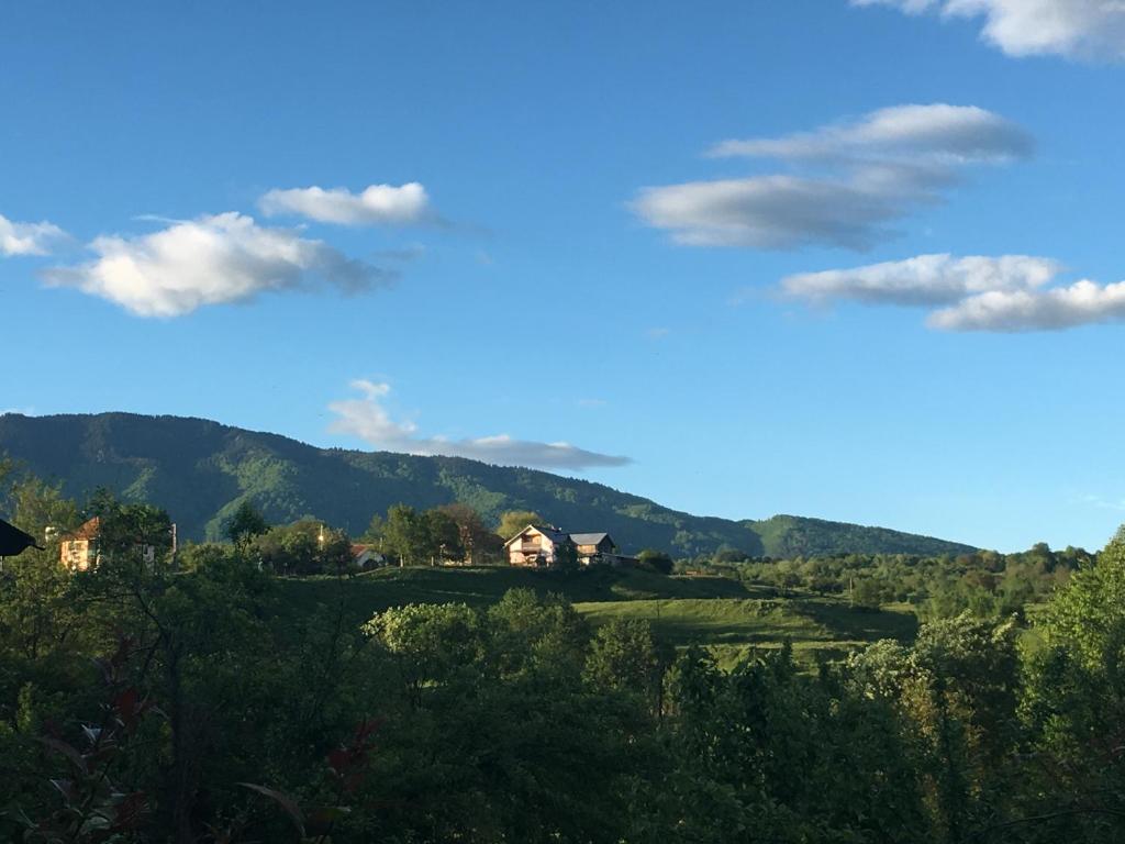 a house on a hill with mountains in the background at Pensiune Daniela in Corbeni