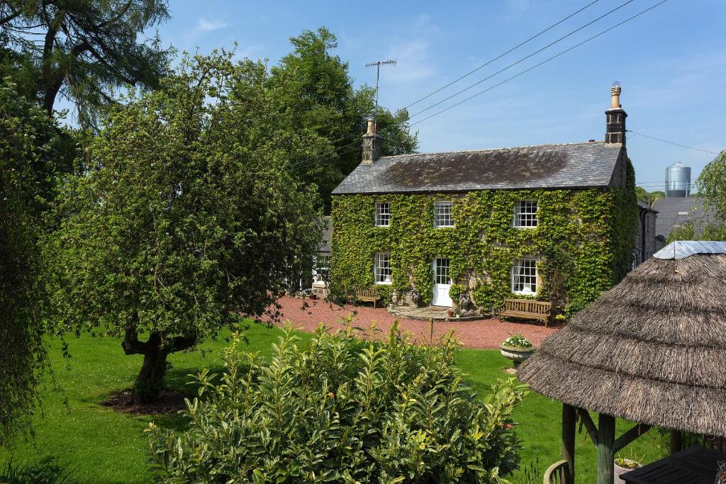 an old stone house with a tree in the yard at Thistleyhaugh farmhouse in Longhorsley