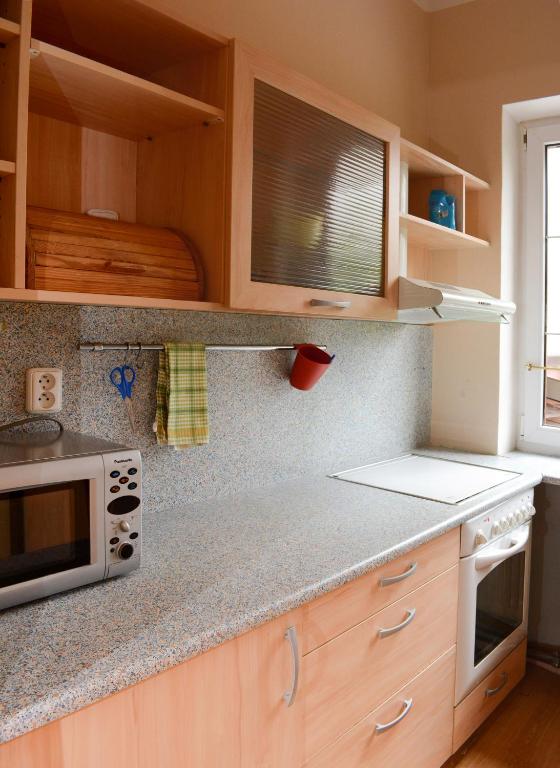 Kuchyň nebo kuchyňský kout v ubytování Hotel Andromeda