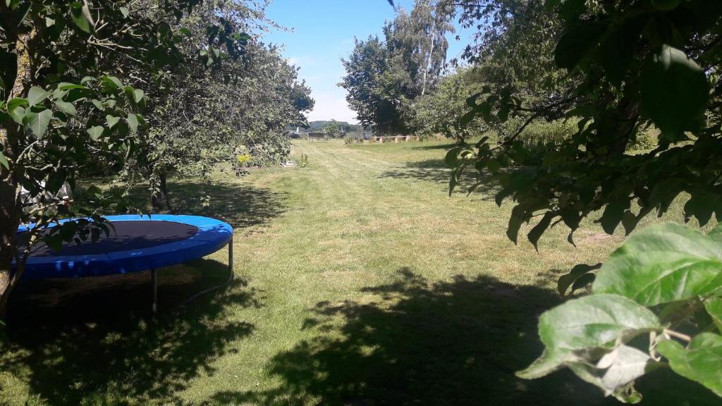 Zahrada ubytování Apartments Sonne am Sund