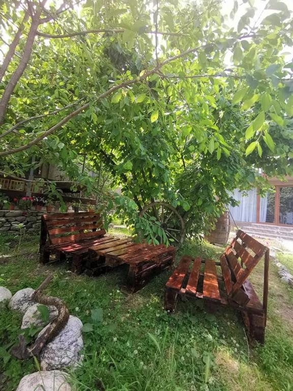 Zahrada ubytování Ronini Telavi