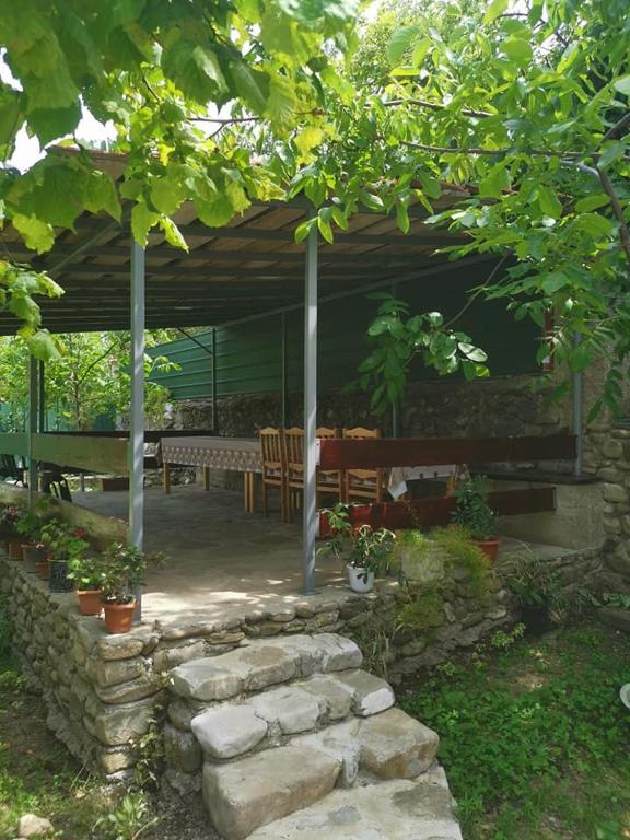 Zahrada ubytování Ronini Telavi