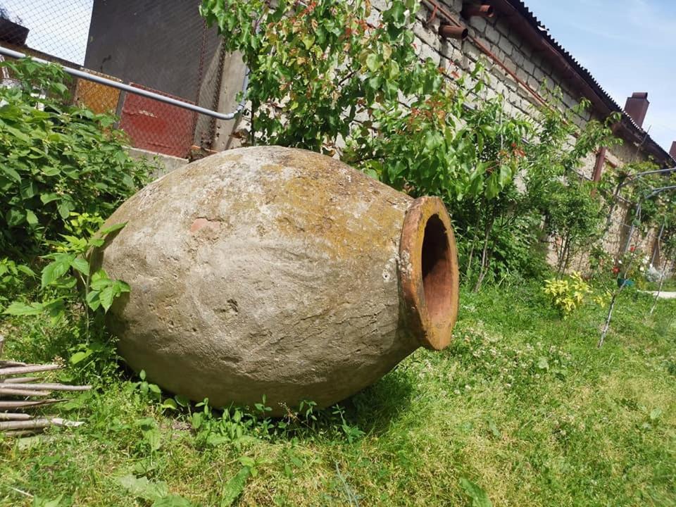 Zahrada ubytování Ronini Telavi