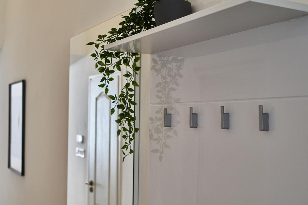 Fotografia z galérie ubytovania SODA19 Apartment - Budapest v Budapešti