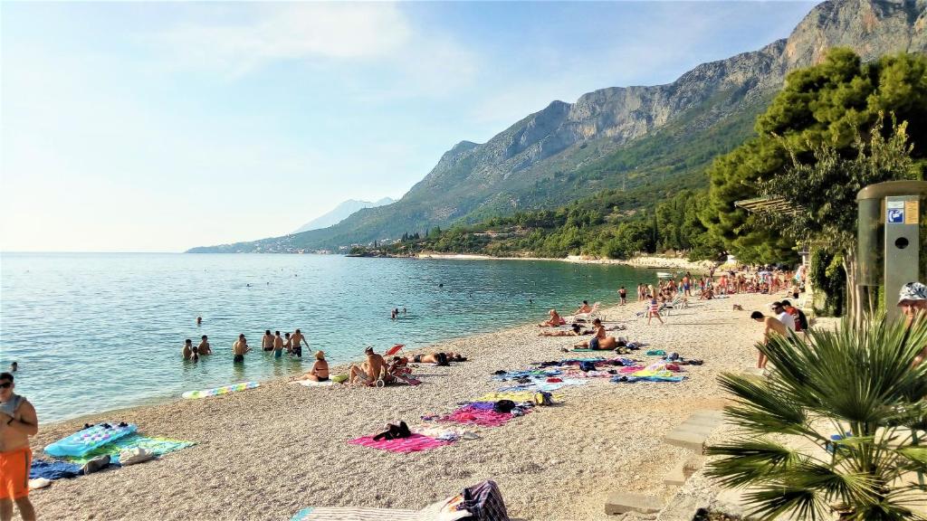 Príroda v okolí apartmánu