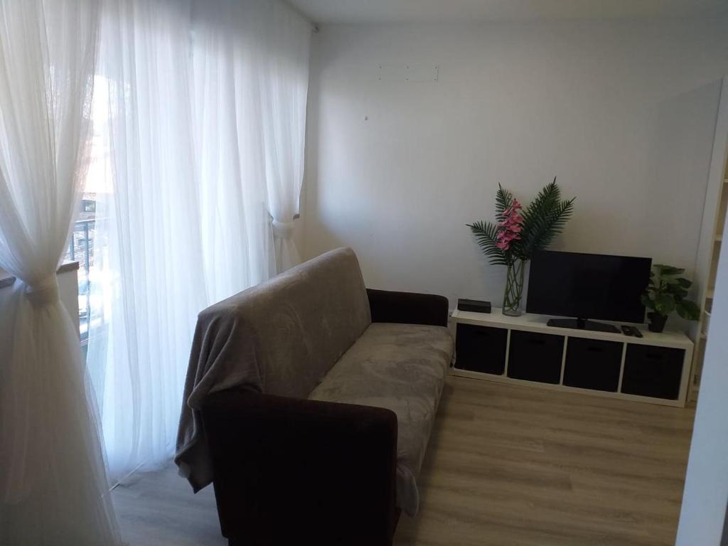a living room with a couch and a television at AP TORRE in Torre de Moncorvo