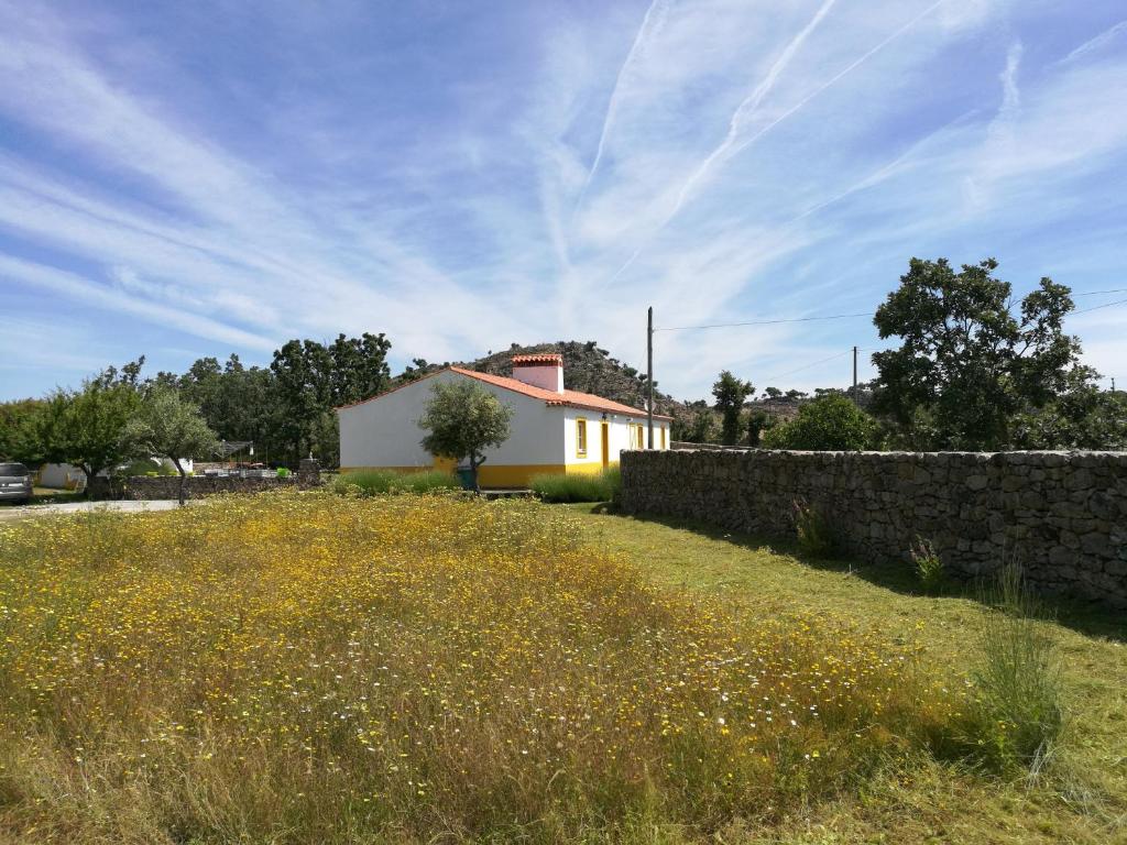 une maison dans un champ avec un mur en pierre dans l'établissement Casa das Amoras, à Santo António das Areias