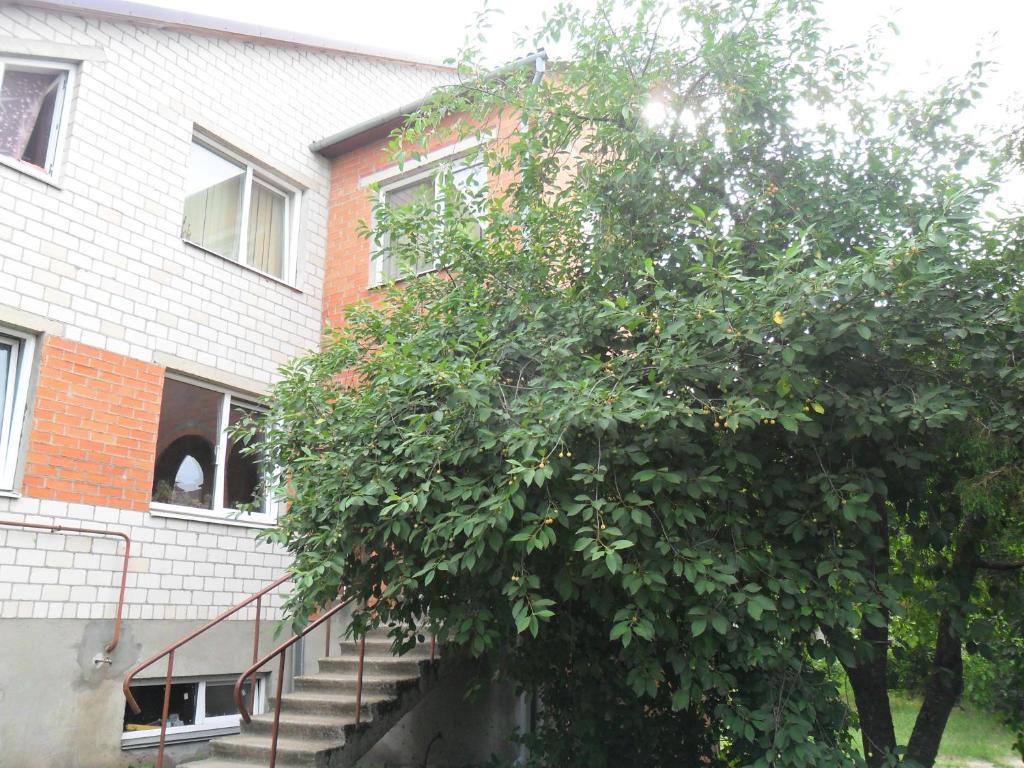 uma laranjeira em frente a um edifício com escadas em Guest House Raisa em Brest
