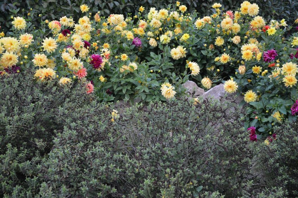 Derechos de imagen reservados por Booking.com