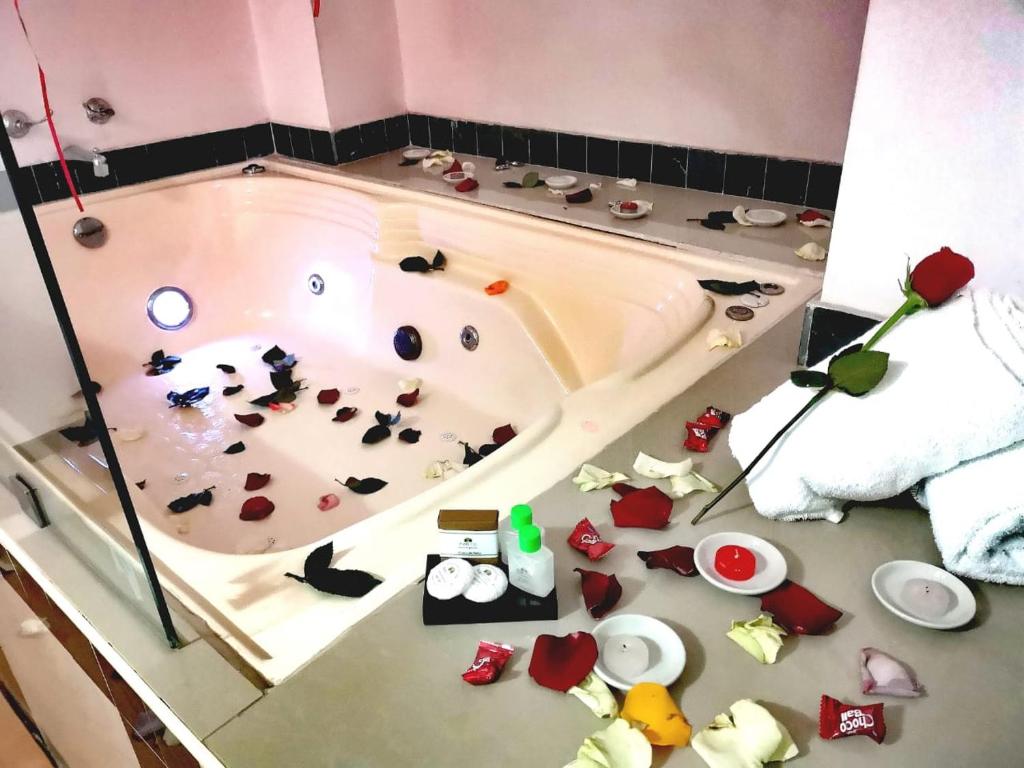 Fotografie z fotogalerie ubytování Nogal Suite Hotel Pasto v destinaci Pasto