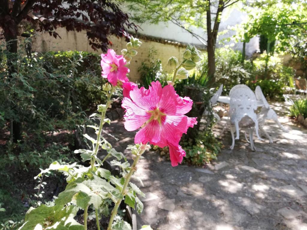 Vonkajšia záhrada v ubytovaní Cortijo Los Abedules