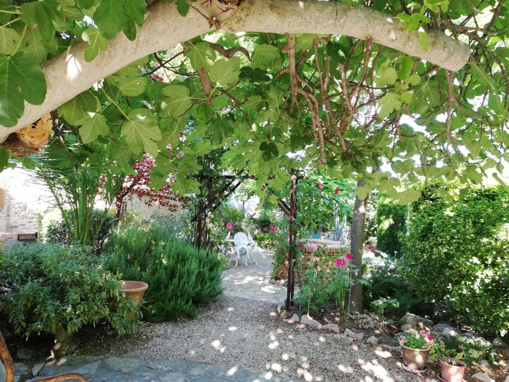 Vonkajšia záhrada v ubytovaní Cortijo Los Abedules