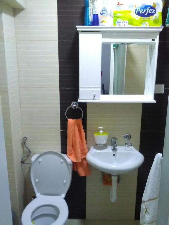 Koupelna v ubytování Apartman Jevtić 1