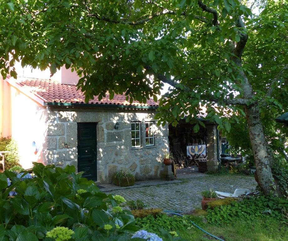 una casa de piedra con un árbol delante en Casas do Toural, en Gouveia