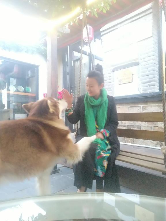 Domácí mazlíčci ubytovaní s hosty v ubytování Guixu Huatang Homestay