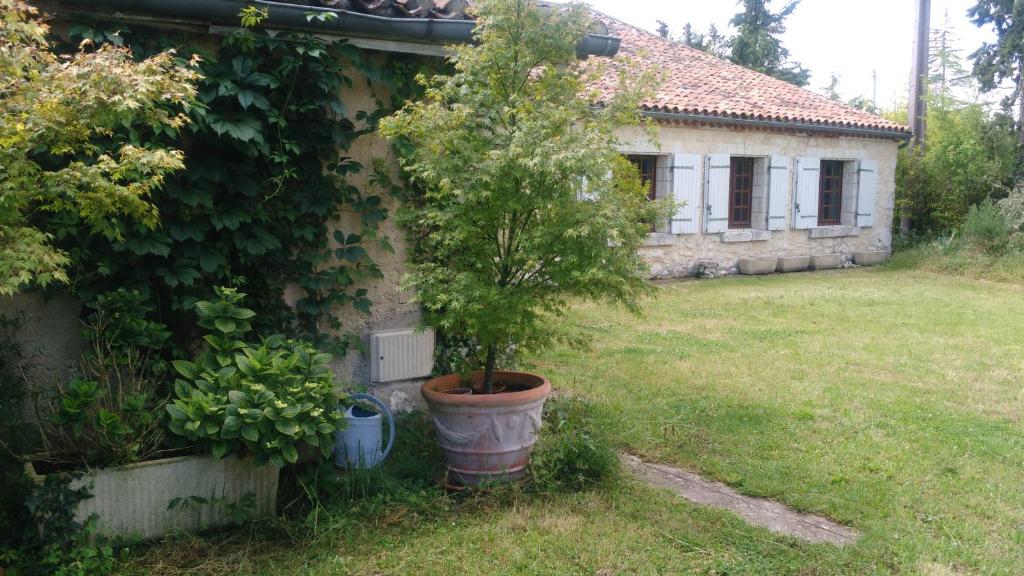 un petit arbre dans un pot à côté d'une maison dans l'établissement hâvre de paix en Gascogne, à Courrensan