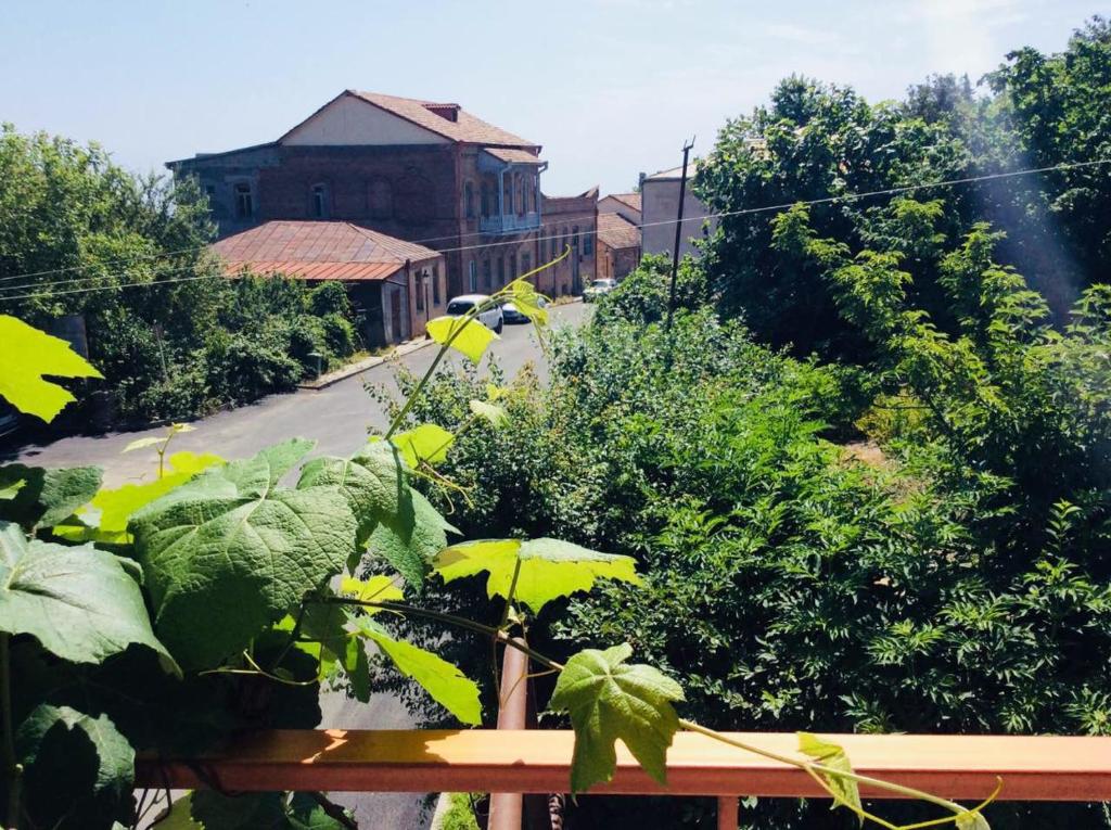 Jardí fora de Luca Lili